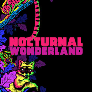 Armnhmr Nocturnal Wonderland Virtual Rave A Thon United States 04 10